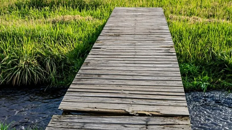 A low wooden bridge crossing into a sunlit meadow