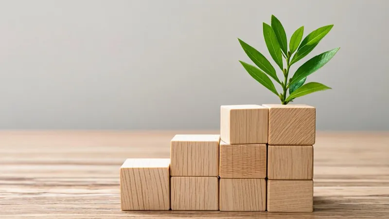 Three ascending wooden blocks with a green plant on the top step